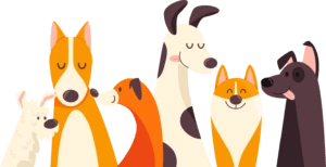 animaux